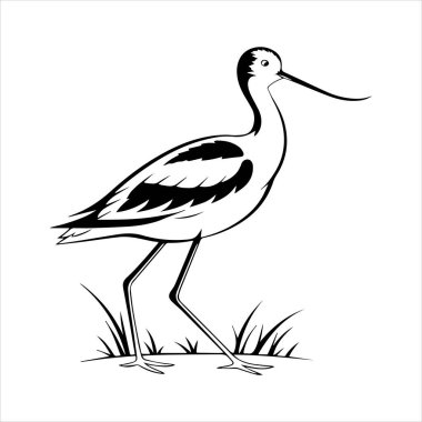 avocet birds siluet vektör sanat çizimi beyaz arka planda