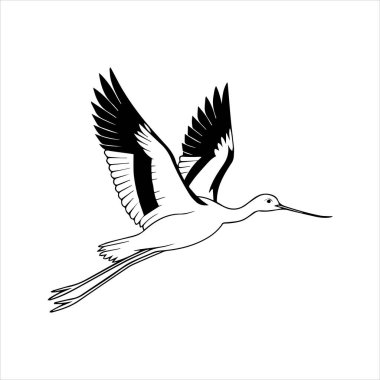 avocet birds siluet vektör sanat çizimi beyaz arka planda