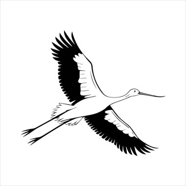 avocet birds siluet vektör sanat çizimi beyaz arka planda