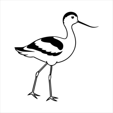 avocet birds siluet vektör sanat çizimi beyaz arka planda