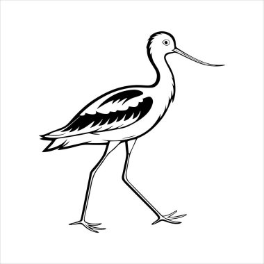 avocet birds siluet vektör sanat çizimi beyaz arka planda