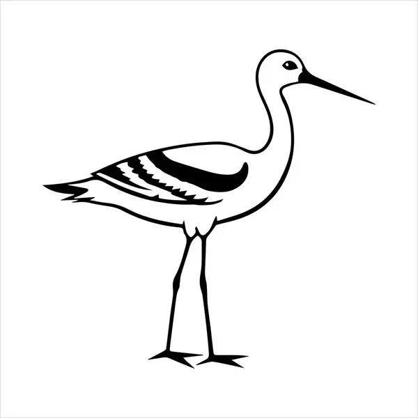 avocet birds siluet vektör sanat çizimi beyaz arka planda