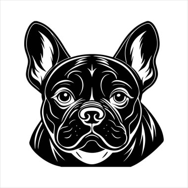Beyaz arkaplanda Fransız buldog vektör çizimi
