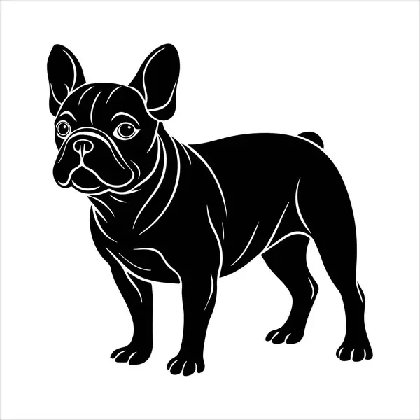 Beyaz arkaplanda Fransız buldog vektör çizimi