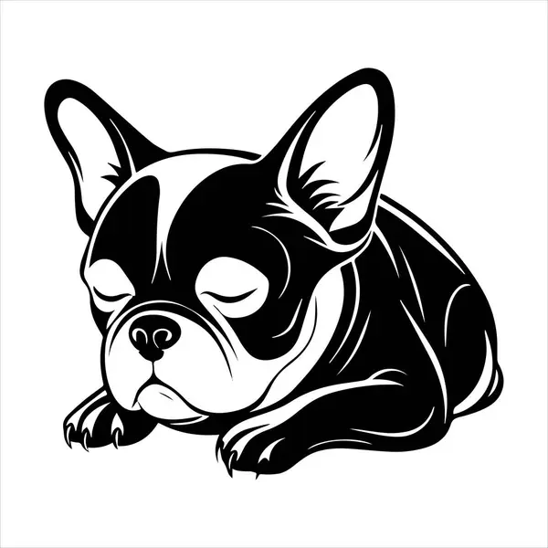 Beyaz arkaplanda Fransız buldog vektör çizimi