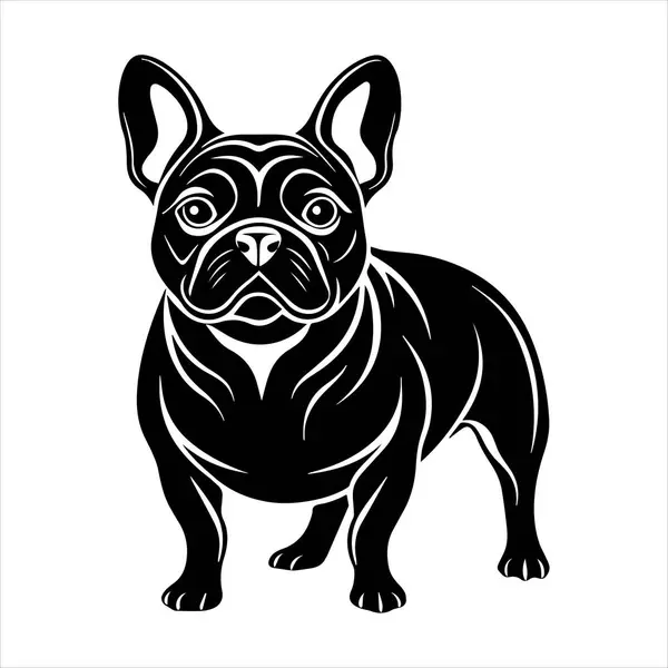 Beyaz arkaplanda Fransız buldog vektör çizimi