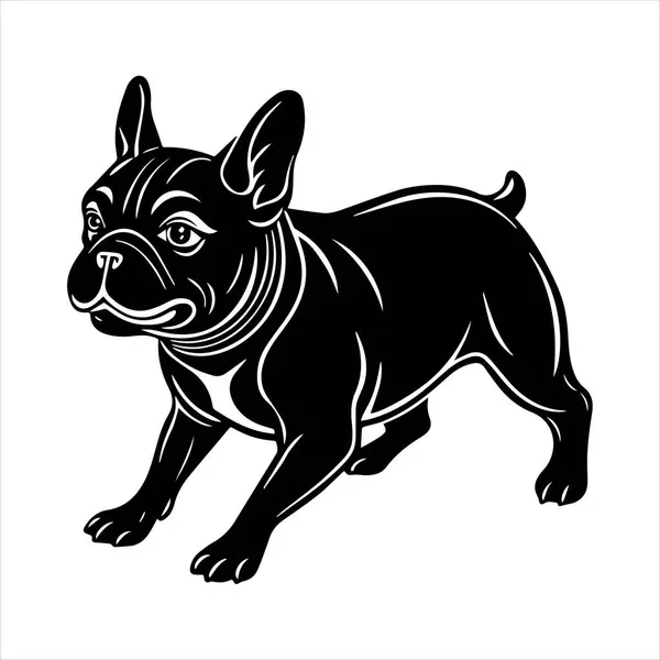 Beyaz arkaplanda Fransız buldog vektör çizimi
