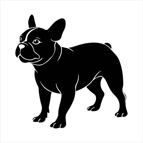 Beyaz arkaplanda Fransız buldog vektör çizimi