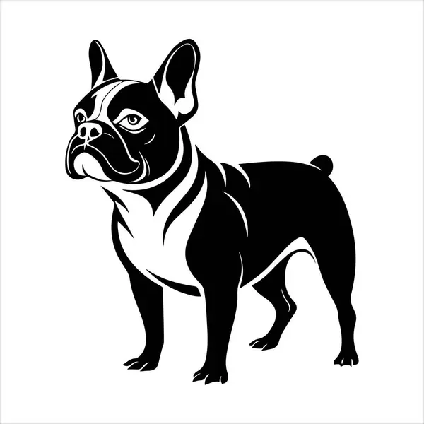 Beyaz arkaplanda Fransız buldog vektör çizimi