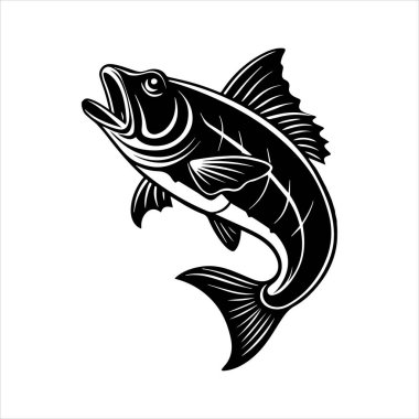 Beyaz arka planda basa deniz balığı vektör resim çizimi