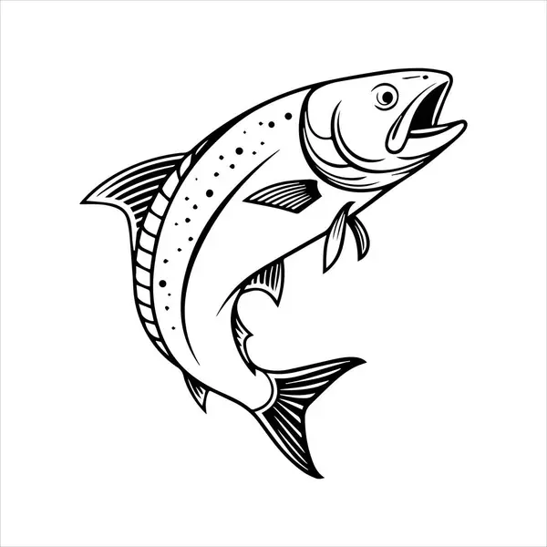 Beyaz arka planda basa deniz balığı vektör resim çizimi
