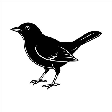 Beyaz arkaplandaki yaygın karatavuk vektör çizimi