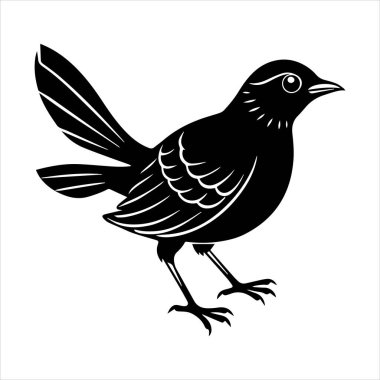 Beyaz arkaplandaki yaygın karatavuk vektör çizimi