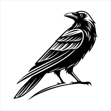 Beyaz arkaplandaki yaygın karatavuk vektör çizimi