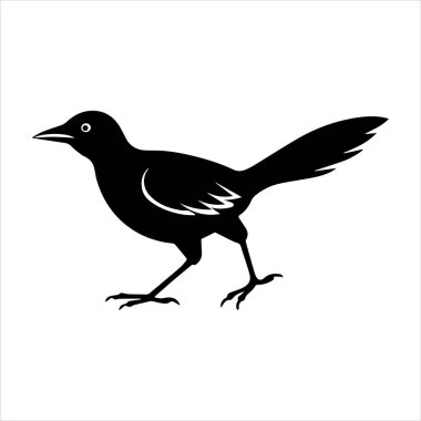 Beyaz arkaplandaki yaygın karatavuk vektör çizimi