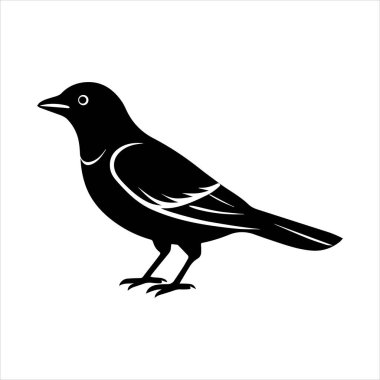 Beyaz arkaplandaki yaygın karatavuk vektör çizimi