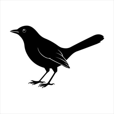 Beyaz arkaplandaki yaygın karatavuk vektör çizimi