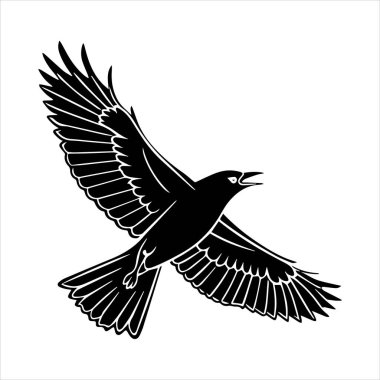 Beyaz arkaplandaki yaygın karatavuk vektör çizimi