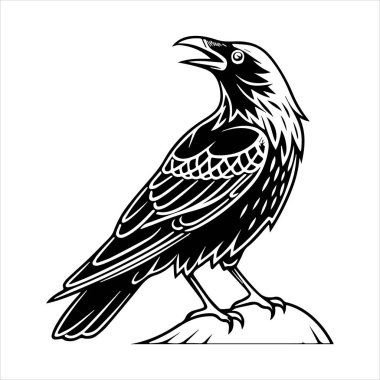 Beyaz arkaplandaki yaygın karatavuk vektör çizimi