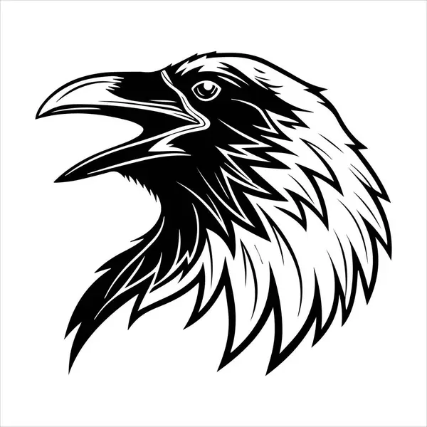 Beyaz arkaplandaki yaygın karatavuk vektör çizimi