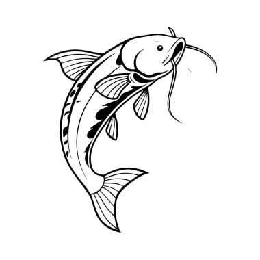 beyaz arkaplanda yayın balığı çizimi