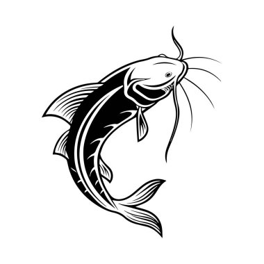 beyaz arkaplanda yayın balığı çizimi