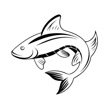 beyaz arkaplanda yayın balığı çizimi