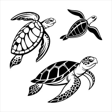 Kaplumbağa deniz ikonu silueti vektör çizimi