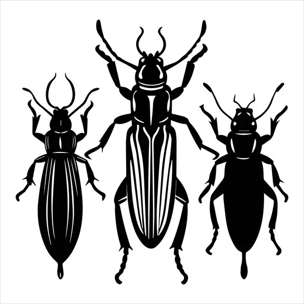 yer böceği silueti vektör çizimi