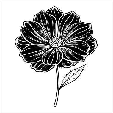 çikolata kozmos çiçek silueti vektör çizimi