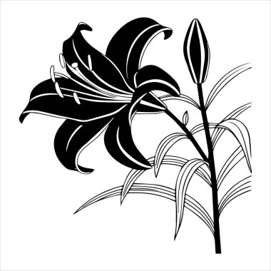 çikolata kozmos çiçek silueti vektör çizimi