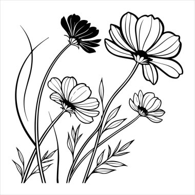 çikolata kozmos çiçek silueti vektör çizimi