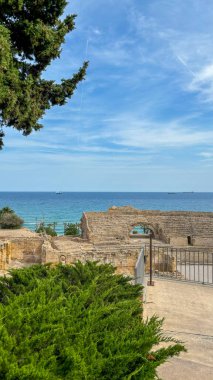 Yeşillik ve dingin bir gökyüzü ile çerçevelenmiş denize bakan antik kalıntıların güzel bir manzarası. Tarihin, doğanın ve Akdeniz kıyılarının barışçıl bir kombinasyonu..