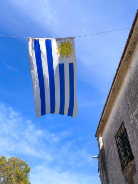 Uruguay bayrağı mavi gökyüzünün altında dalgalanıyor. Çerçevesinde tarihi bir bina ve ağaçlar var..