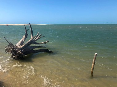 Göz kamaştırıcı bir günbatımı, yumuşak dalgaları ve kumlu kıyıları yansıtan canlı turuncu tonlarla gökyüzünü boyar. İki siluetli figür suyun kenarında yürüyor, arka planda dik duran görkemli bir uçurum var..