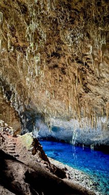 A breathtaking underground cave featuring intricate stalactites hanging from the ceiling and a crystal-clear blue lake below, illuminated by natural light. Bonito, Brazil. clipart