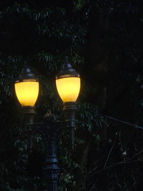 Gece karanlığında, ormanlık bir zemine karşı süslü demirlerle parıldayan iki sokak lambası manzarası çevredeki yeşillikleri aydınlatan, nostalji uyandıran sıcak sarı bir ışık saçıyor..