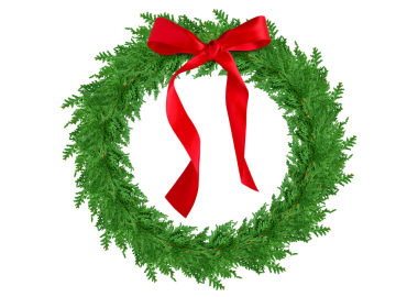 Kırmızı kurdeleli yeşil sedir çelengi izole edilmiş.