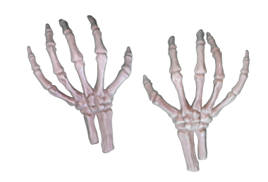 Cadılar Bayramı iskelet elleri şeffaf kesme izole