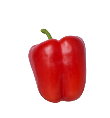 Kırmızı dolma biber şeffaf kesitte izole edildi