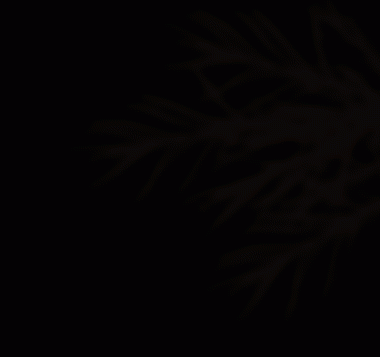 Bitki gövdeleri ve gölgeler şeffaf kesitler üzerinde izole edilmiş.