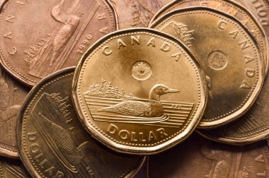 Canadian one dollar golden loonie coins background clipart