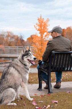 Parkta köpeğiyle bankta oturan bir adam.