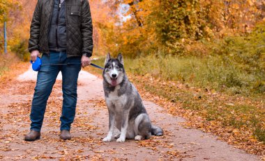Parkta köpekli bir adam.