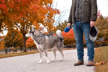 Parkta köpeğiyle yürüyüşe çıkmış bir adam.
