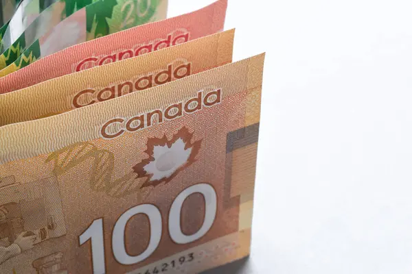 Kanada para banknotları beyaz arka planda izole edilmiş fotokopi alanı ile ayakta duruyor