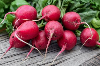 Bir demet taze kırmızı turpa yakın çekim