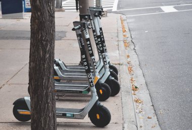Kuş elektrikli scooter 'lar bir caddeye dizilmişti.