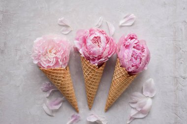 Üç waffle dondurma külahında pembe şakayıklar.