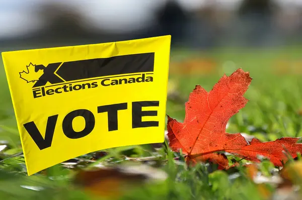 Kanada seçimleri yeşil çimlerin üzerinde kırmızı akçaağaç yaprağıyla oy işareti